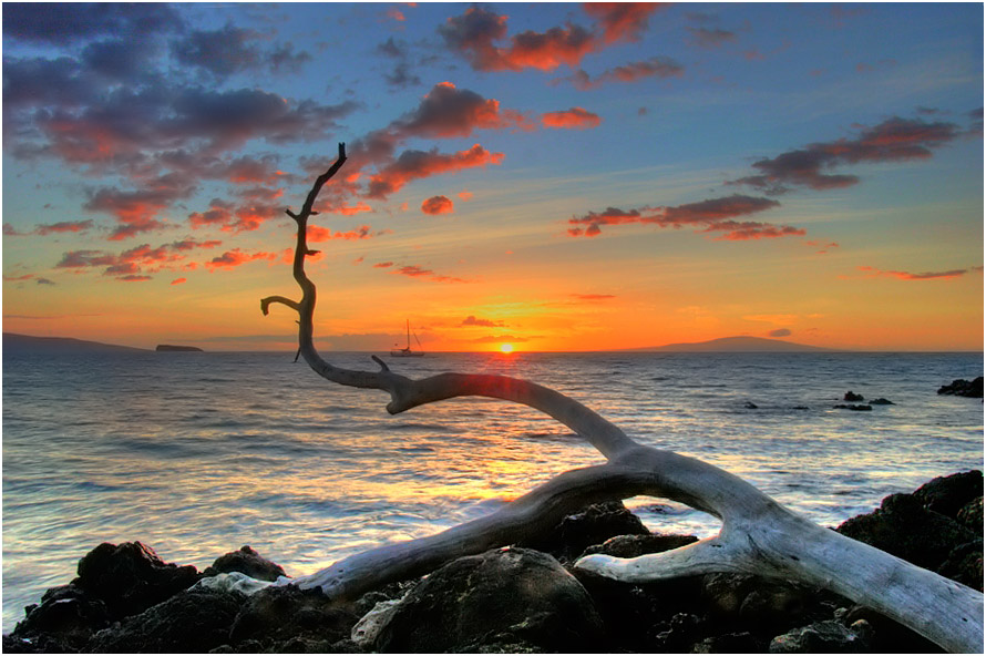 photo "Sunset with a stick and a boat" tags: landscape, sunset, water