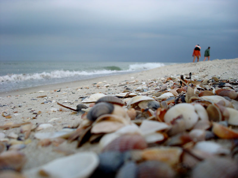 photo "after the storm" tags: landscape, summer, water