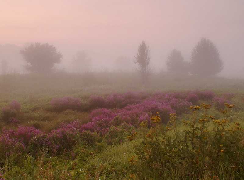 фото "****" метки: пейзаж, 