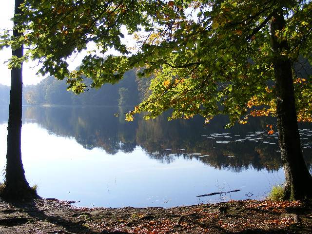 photo "Lake in autumn." tags: nature, 