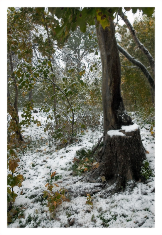 фото "***" метки: пейзаж, 