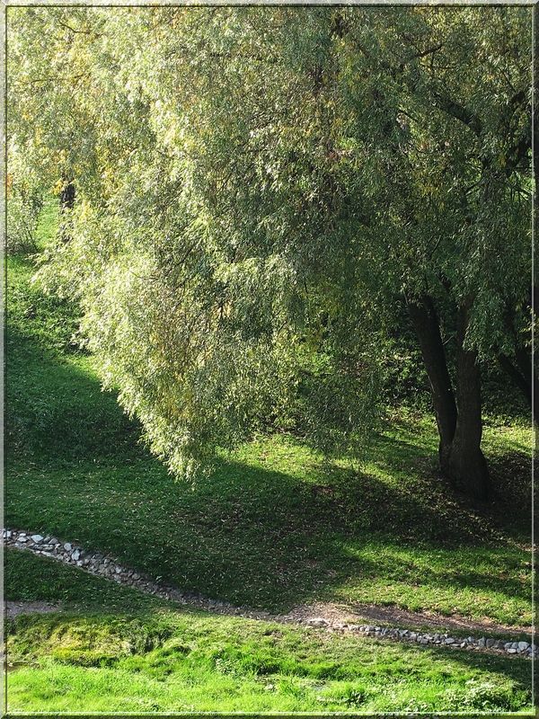 фото "Среднерусье" метки: пейзаж, лес, осень