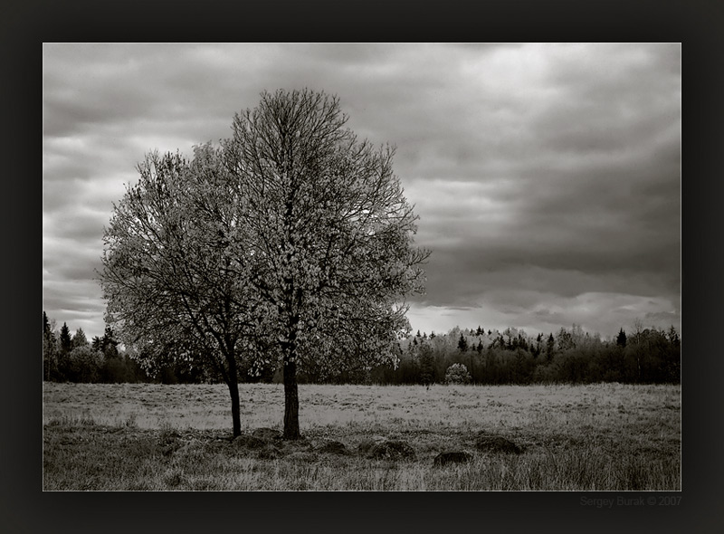 photo "2 (IR)" tags: landscape, black&white, 