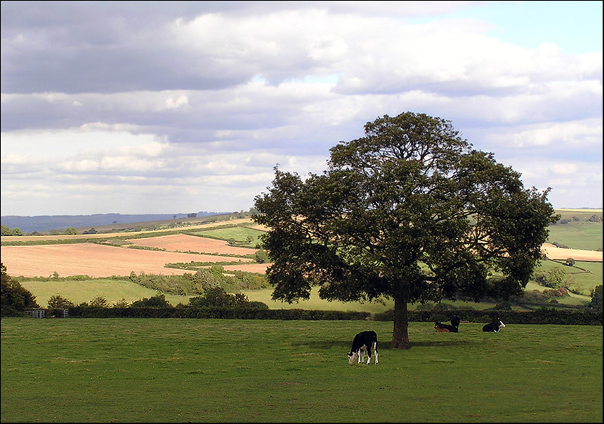 photo "The British pastoral." tags: landscape, travel, Europe