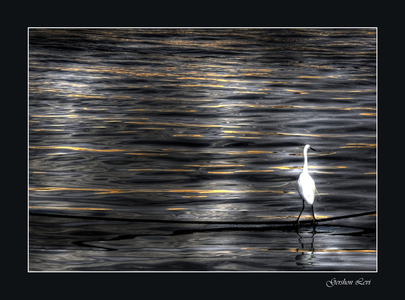 фото "*" метки: пейзаж, вода