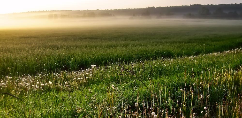 photo "***" tags: landscape, summer