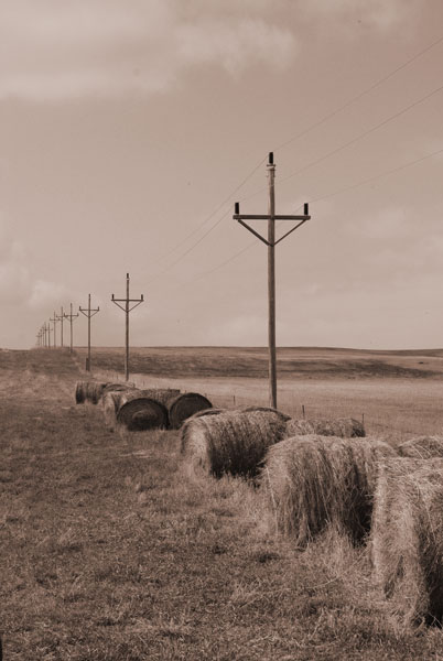 photo "Bales & Poles" tags: landscape, autumn