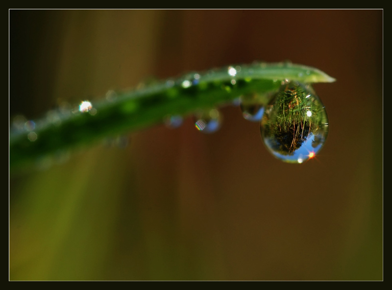 photo "World in the pearl" tags: macro and close-up, 