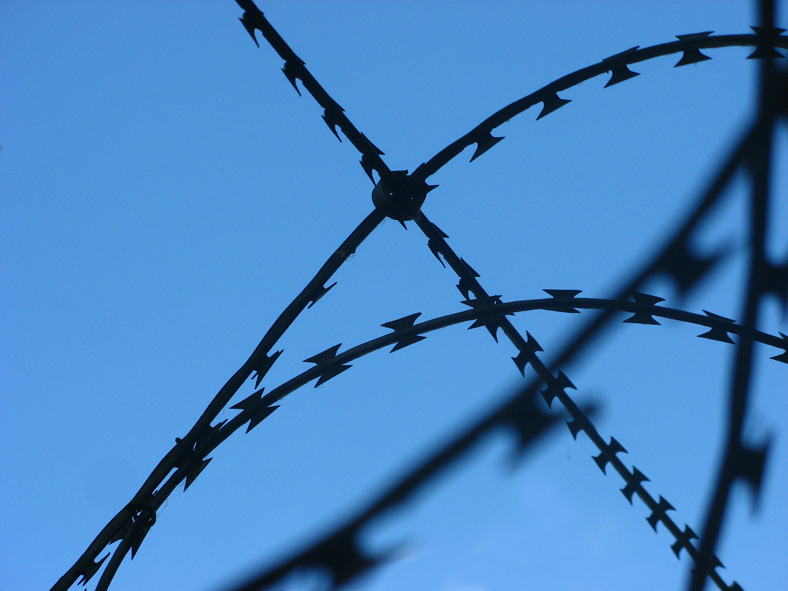 photo "Barbed wire" tags: macro and close-up, fragment, 