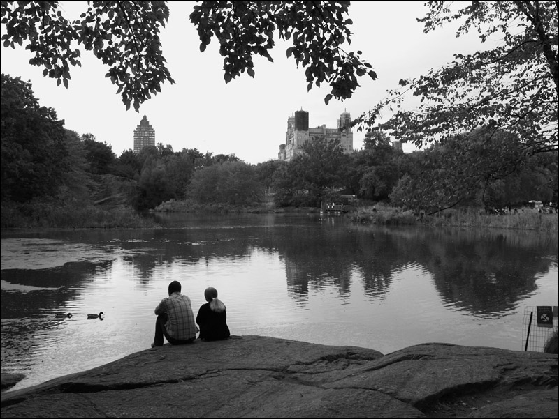 фото "Turtle Pond" метки: черно-белые, 