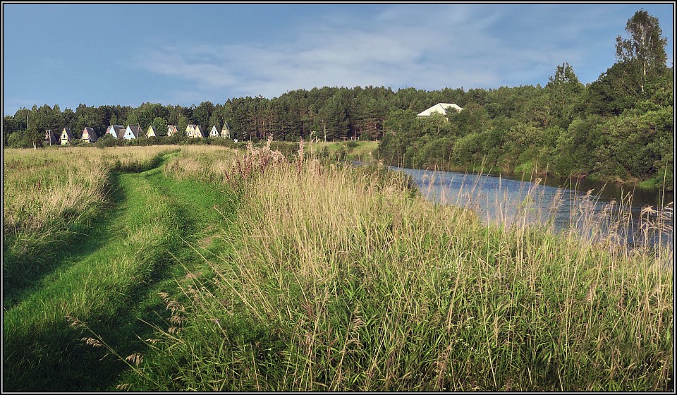 photo "The happy childhood )" tags: landscape, summer