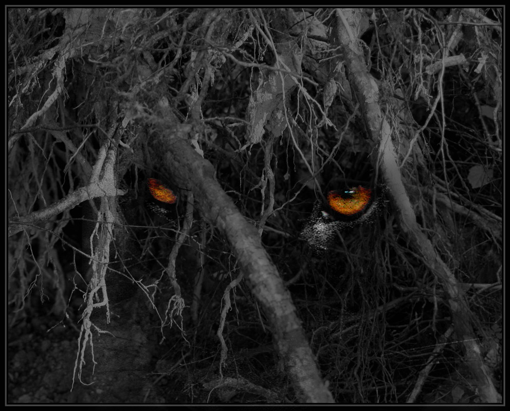 фото "Сумрак" метки: фотомонтаж, 