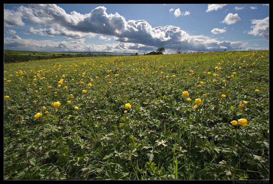 photo "On the village outskirts / 0171_0073" tags: landscape, nature, flowers