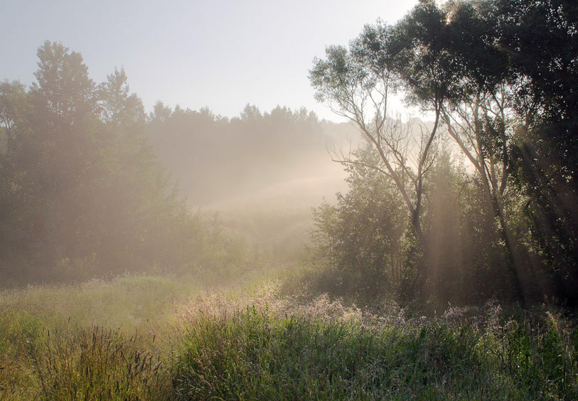 photo "***" tags: landscape, summer, sunset