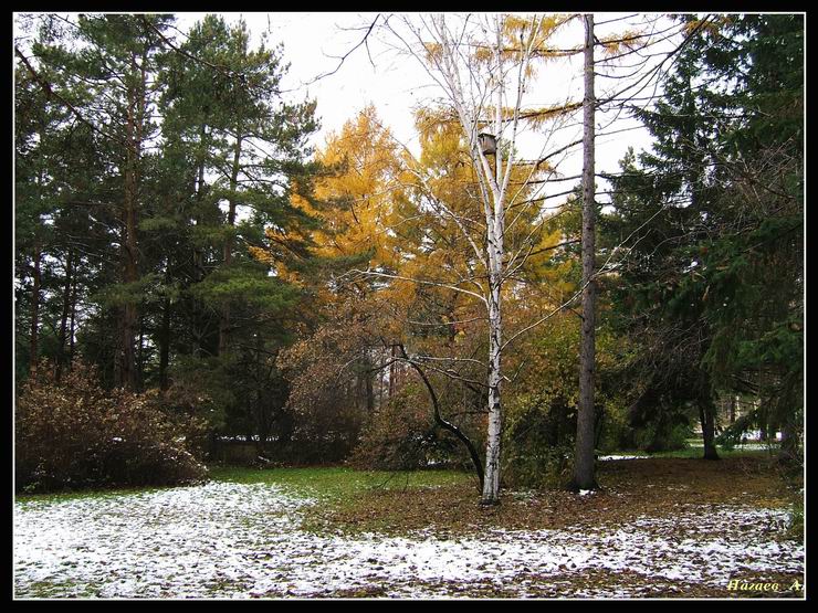 photo "***" tags: landscape, autumn, forest