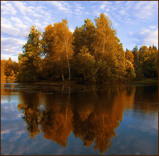 фото "Костёр осени" метки: пейзаж, осень