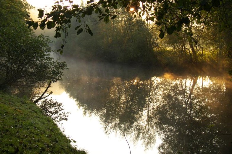 фото "light of early morning" метки: пейзаж, вода, закат