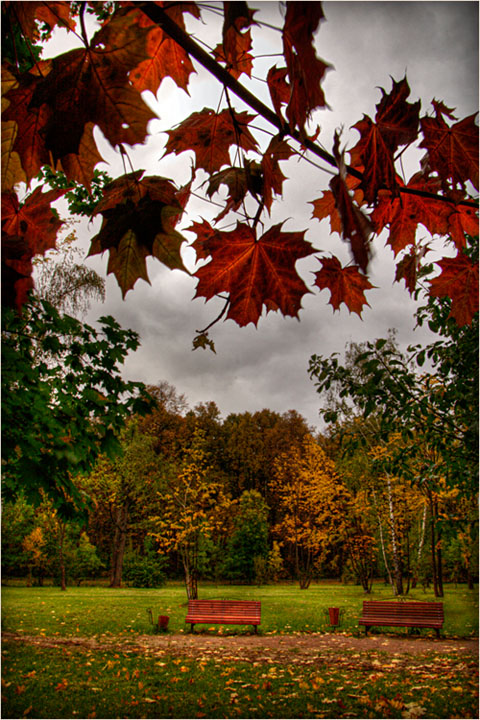 photo "Autumn park" tags: landscape, autumn