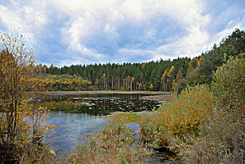 photo "***" tags: landscape, forest, water