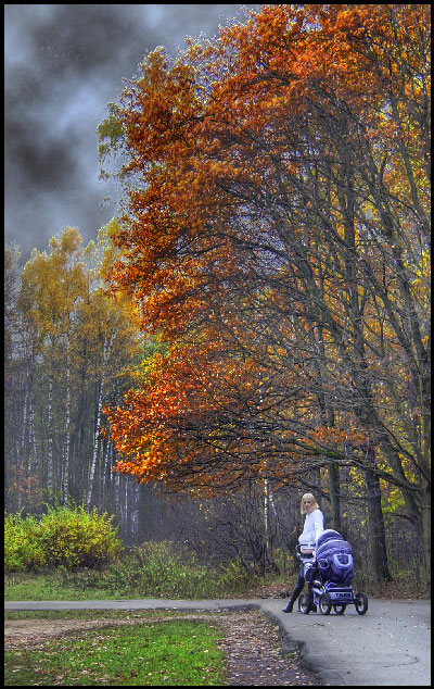 фото "Прогулка" метки: , 