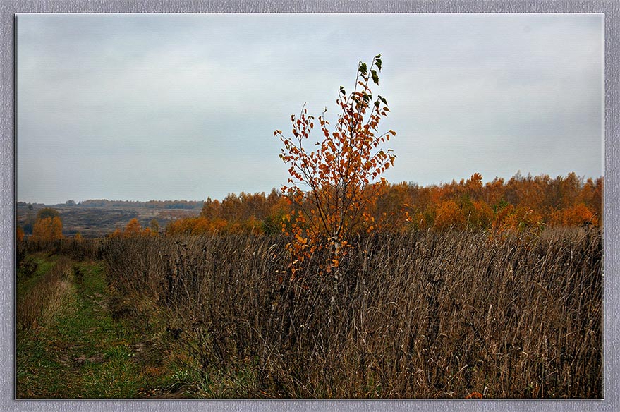 фото "Грустная пора.." метки: пейзаж, 