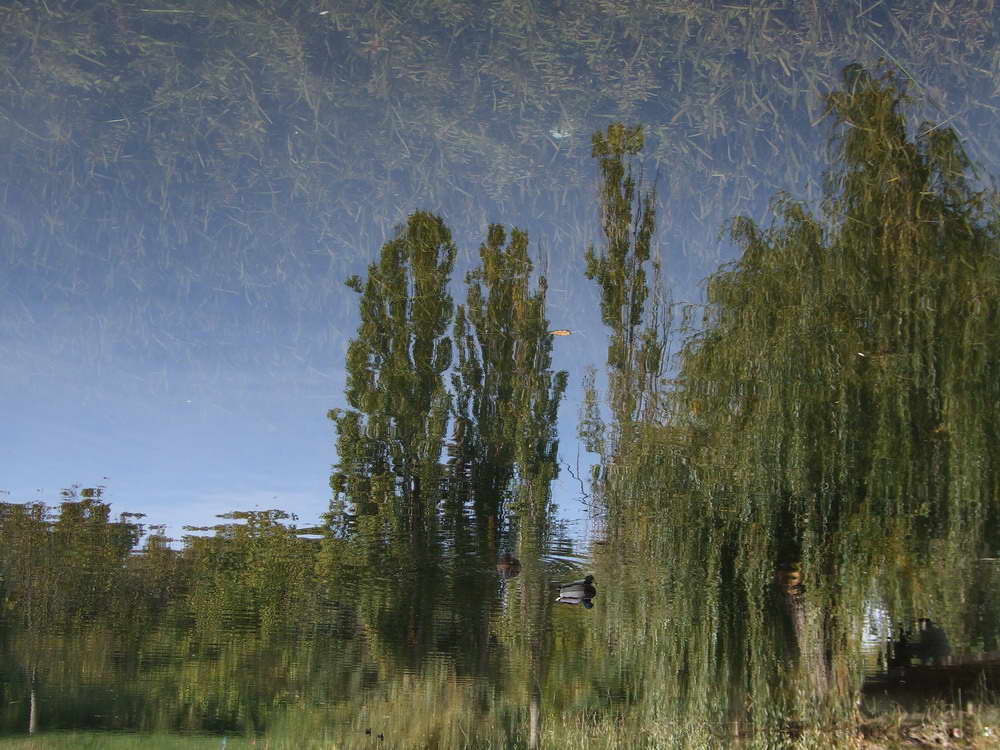фото "Отражение" метки: пейзаж, вода