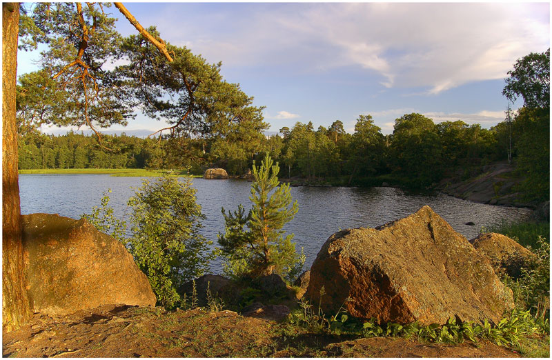 photo "***" tags: landscape, summer, sunset