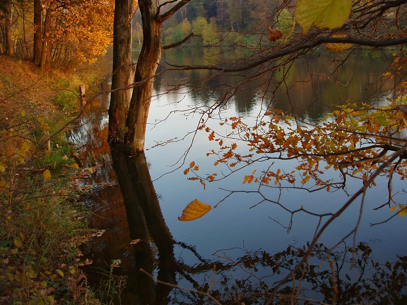 фото "Осенняя канитель" метки: пейзаж, вода, осень