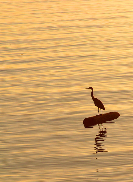 photo "Pencil trace..." tags: landscape, sunset, water