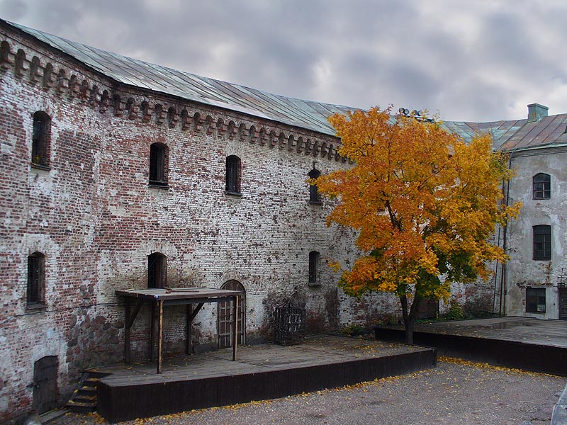 фото "Старый клен." метки: , 