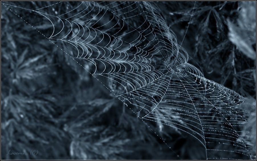 фото "Холодное утро" метки: пейзаж, природа, осень