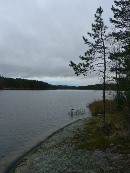 фото "Kymijoki" метки: пейзаж, осень