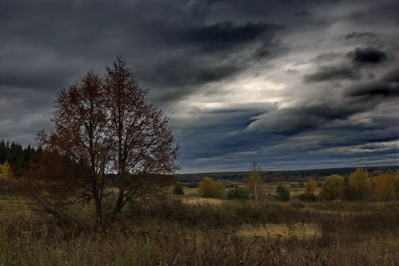 photo "***" tags: landscape, autumn