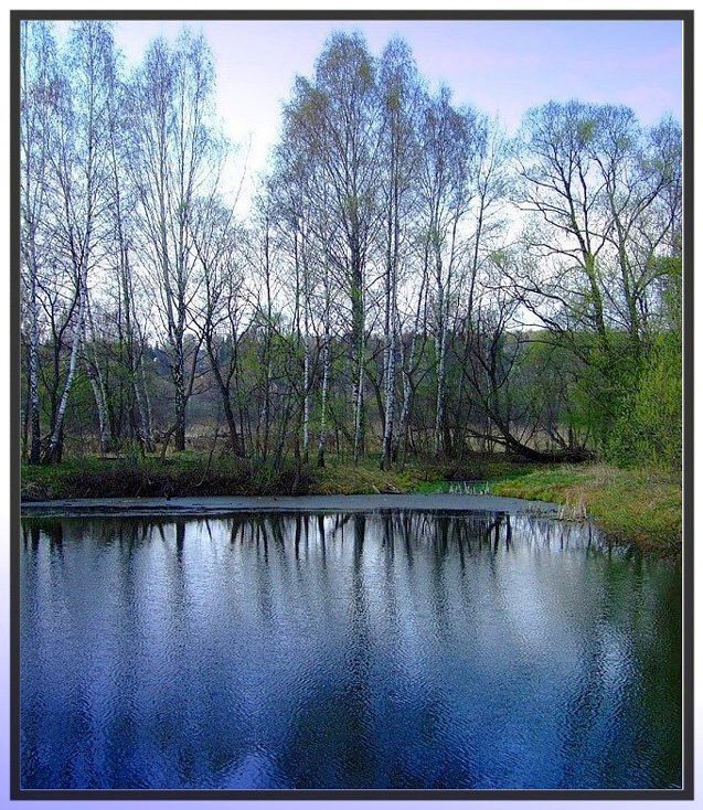 photo "***" tags: landscape, forest, water