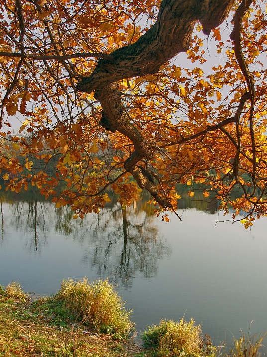 photo "***" tags: landscape, autumn, water