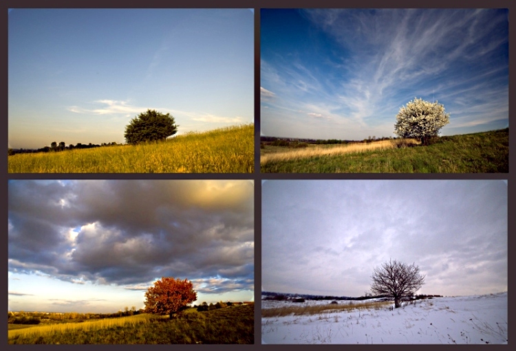 фото "***" метки: пейзаж, природа, 