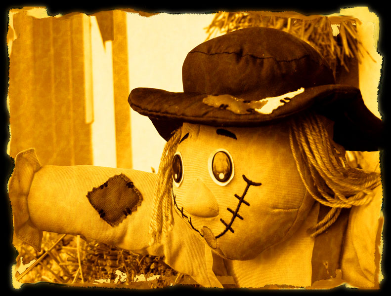 photo "Scarecrow / Пугало" tags: reporting, 