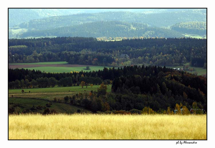 photo "autumn" tags: landscape, forest