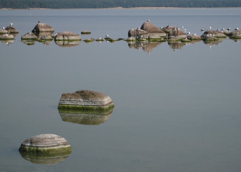 photo "Old stones" tags: landscape, nature, water