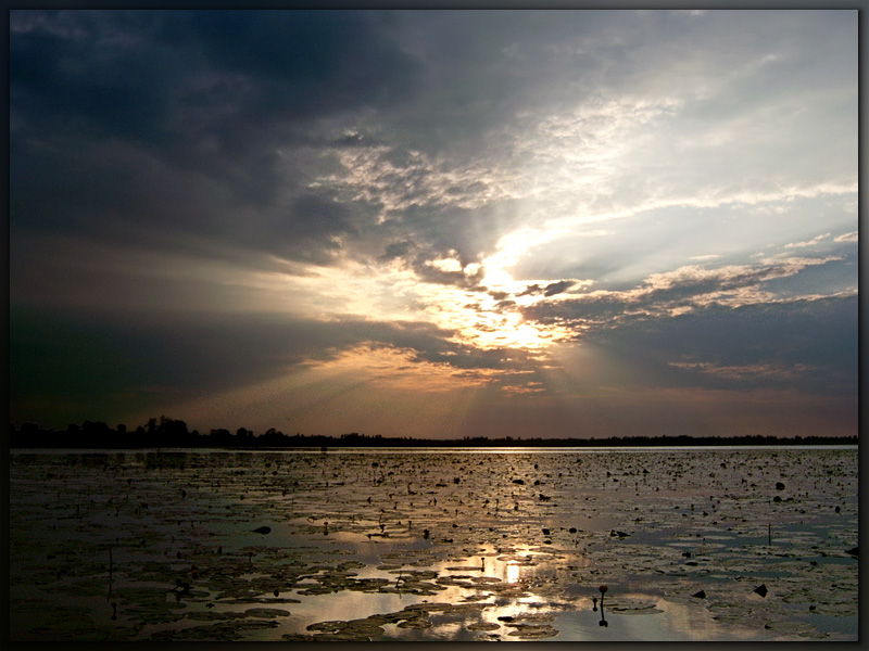 photo "***" tags: landscape, summer, sunset