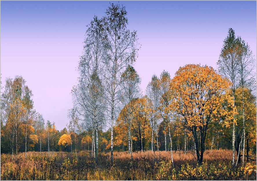 photo "Time of a transparency" tags: landscape, autumn