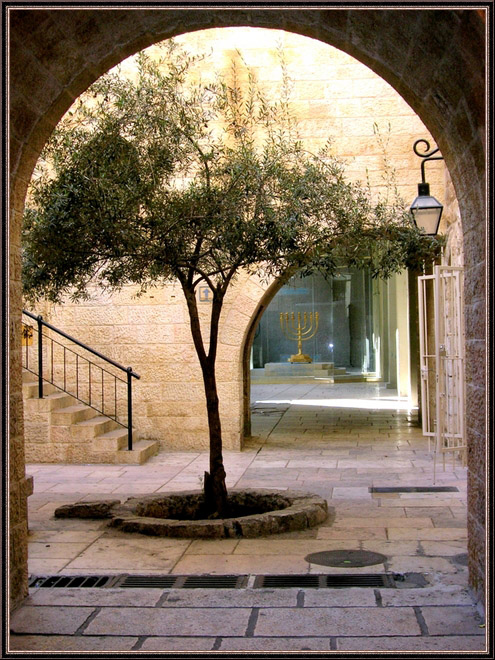 фото "Мой Иерусалим" метки: , 