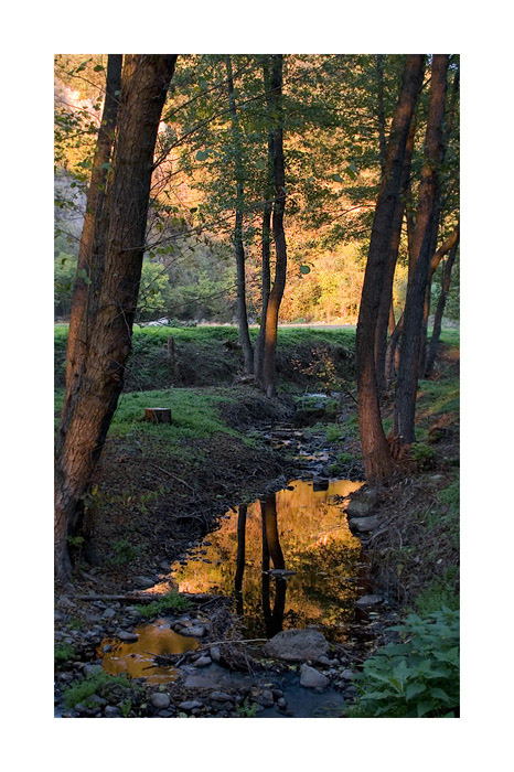 photo "Gold stream" tags: landscape, autumn