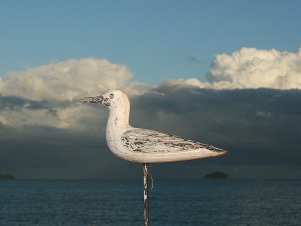 photo "blanca com la neu" tags: landscape, 