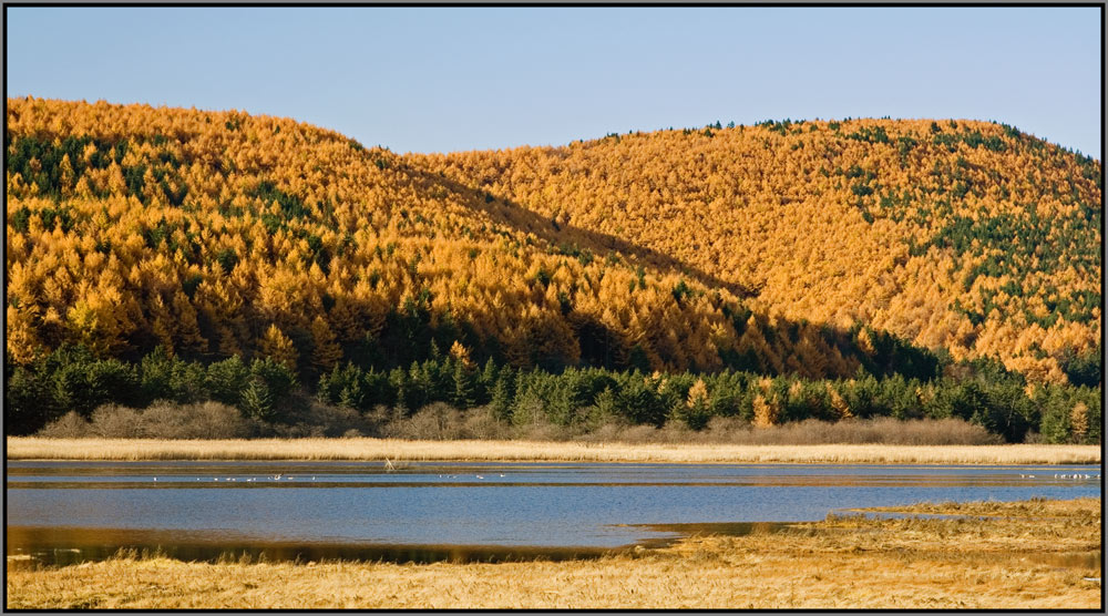 photo "***" tags: landscape, autumn, mountains