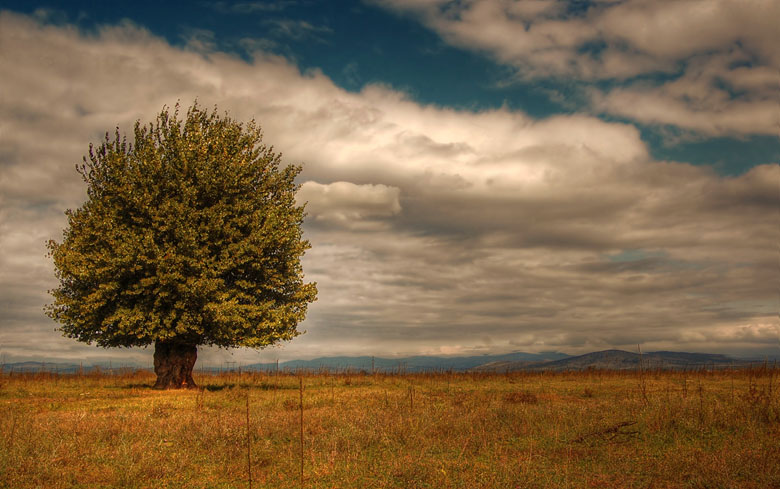 photo "alone with the clouds....." tags: landscape, 