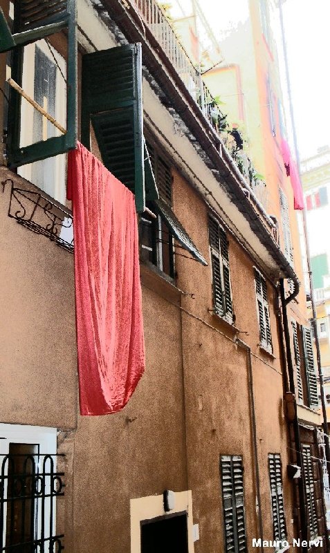 photo "old Genoa, old memories" tags: city, 