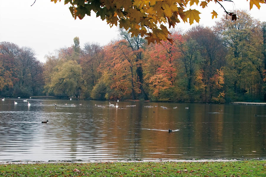 photo "English Garden" tags: landscape, autumn, water