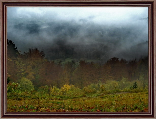 фото "Misty autumn" метки: пейзаж, лес