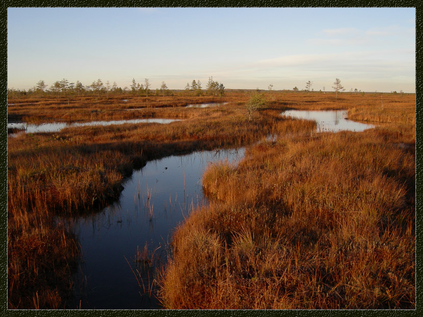 фото "Вода, вода - кругом вода..." метки: пейзаж, вода, осень